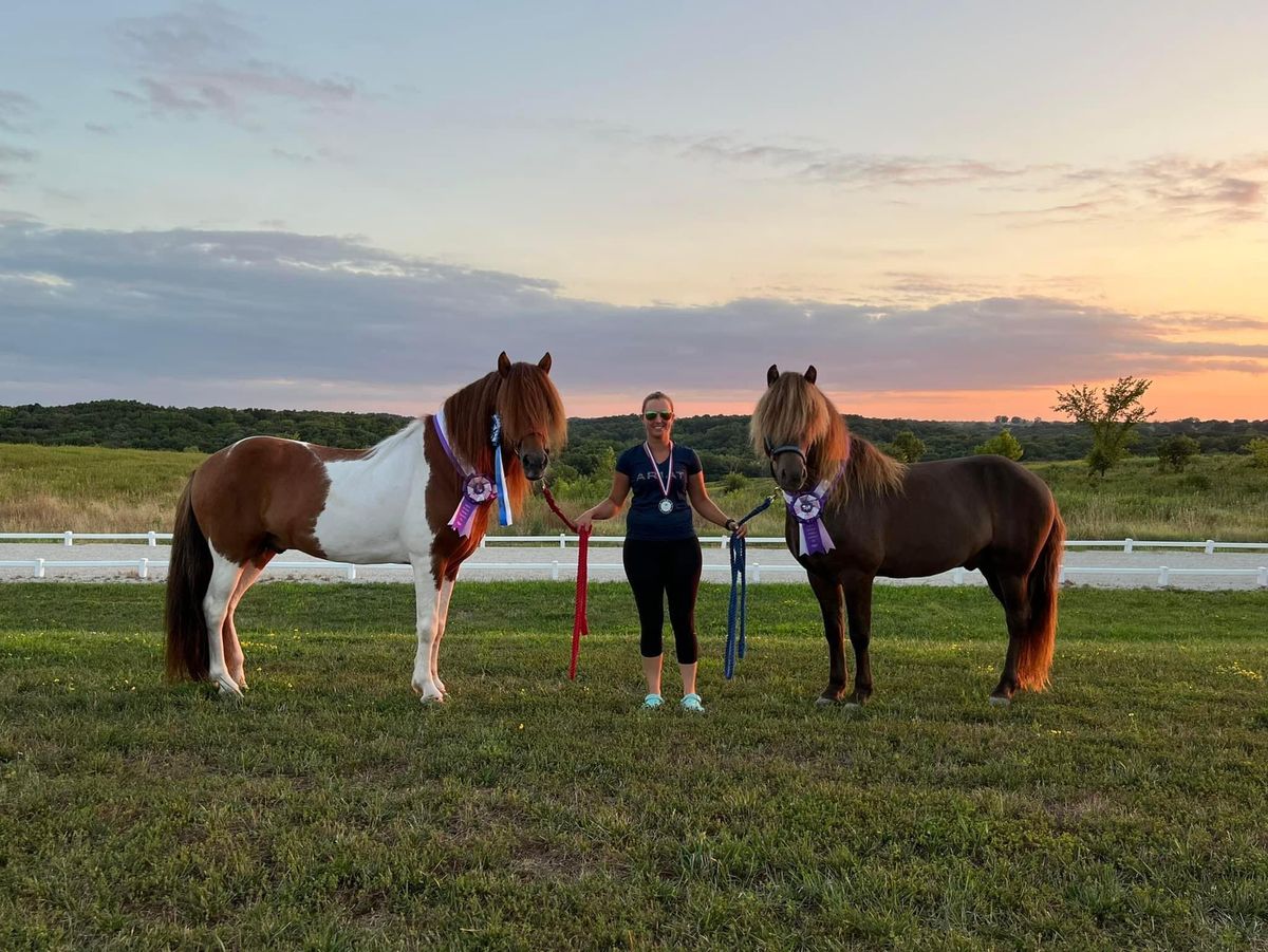 Five-Gait Spring Open Icelandic Horse Competition