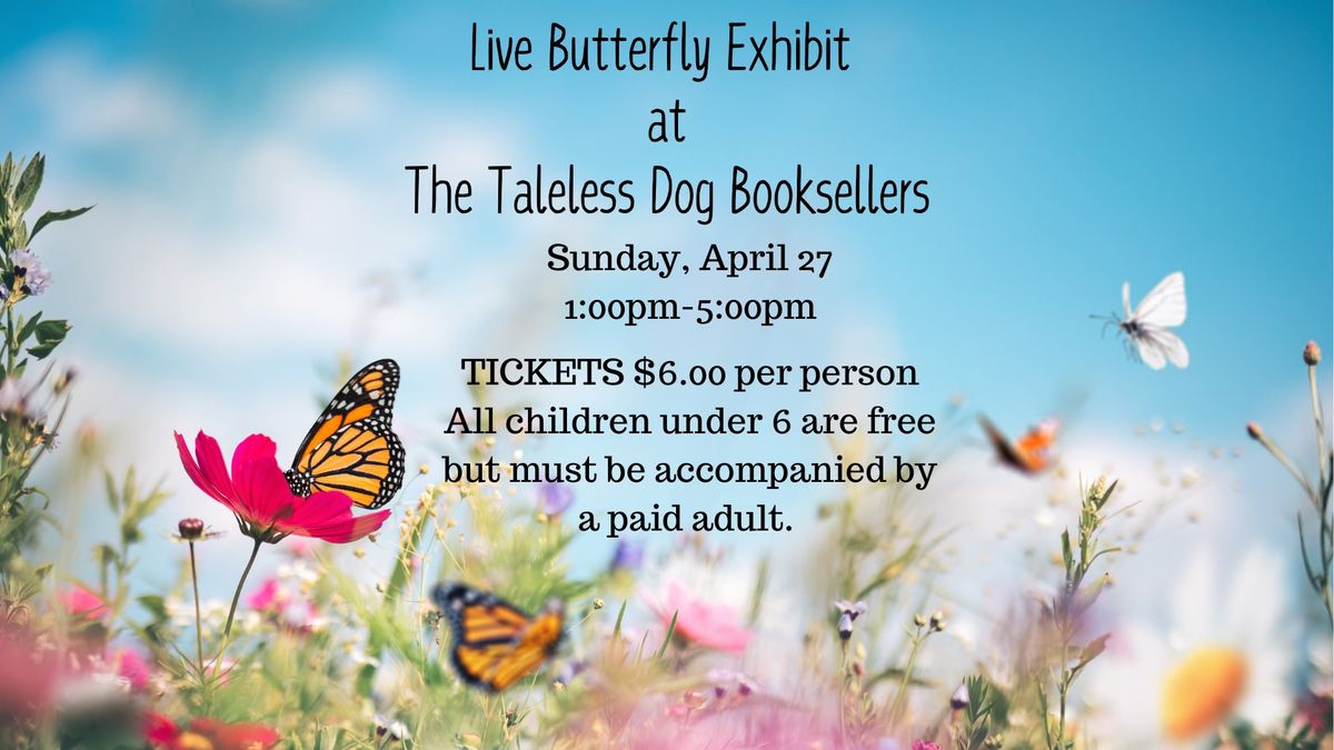 Live Butterfly Exhibit @ The Taleless Dog