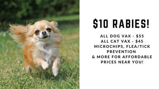 Dallas Low Cost Pet Shots (S Marsalis Ave)