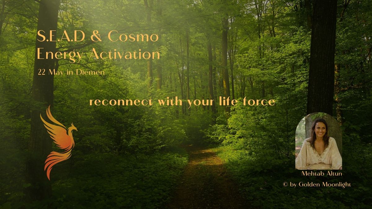 Spinal Energy Activation  & Cosmo Energy Frequentie