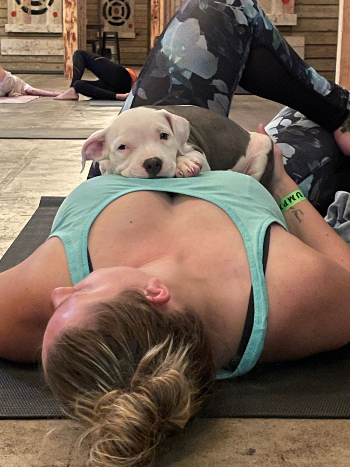 Noses & Poses Puppy Yoga