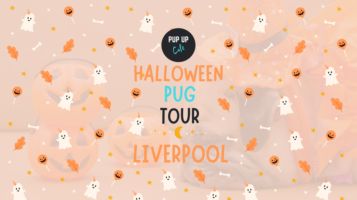  Halloween Pug Pup Up Cafe - Liverpool \ud83c\udf83