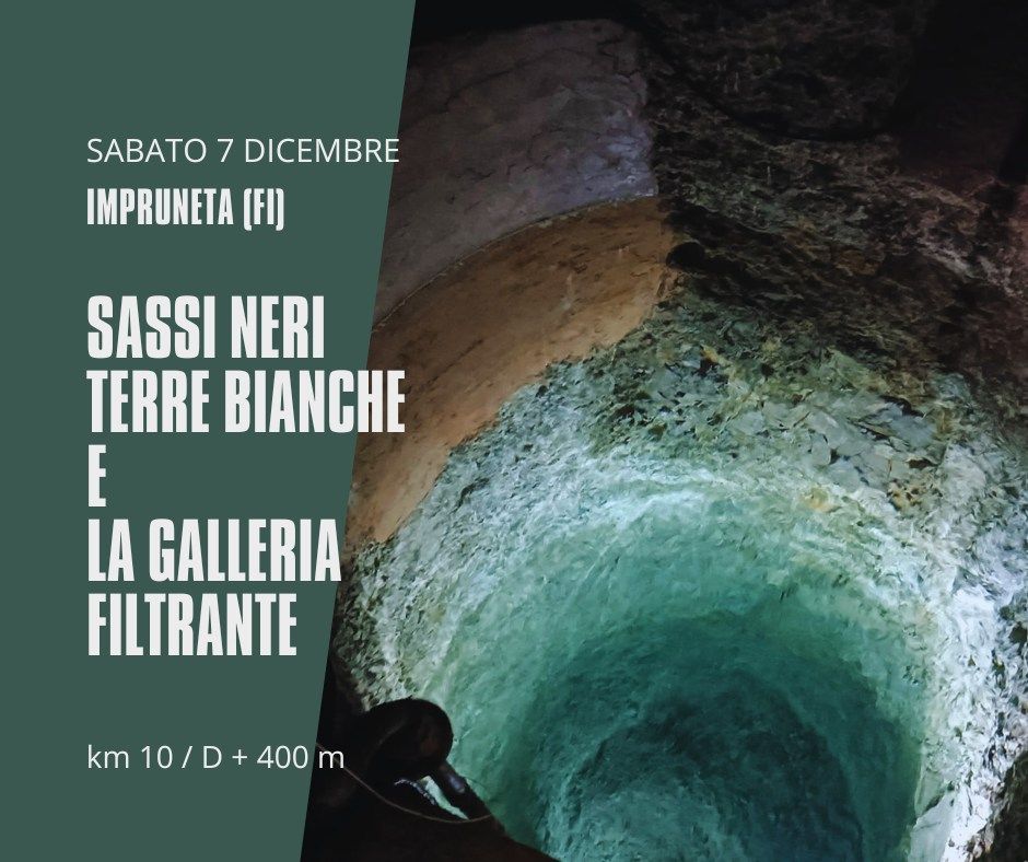 Bosco Sassi Neri, Terre Bianche e la Galleria Filtrante 