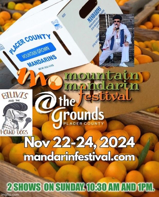 Billvis and the Hound Dogs return to the Mountain Mandarin Festival