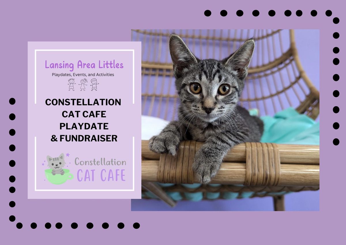 Constellation Cat Cafe Playdate\/Fundraiser