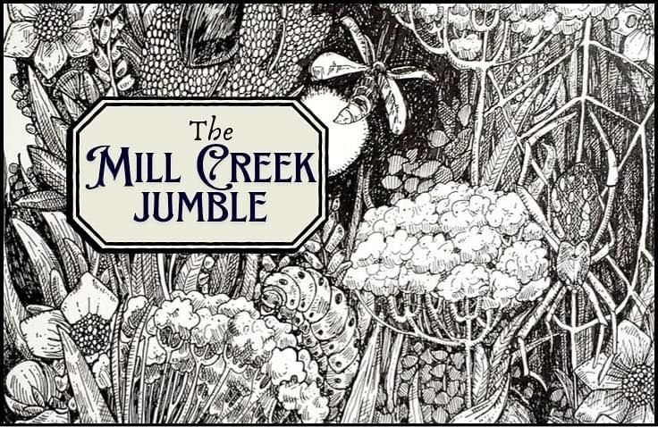 Live and in Stereo! - Mill Creek Jumble at Tighthead