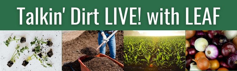 Talkin' Dirt! Starting Veggies from Seed @ Fremont Main Library