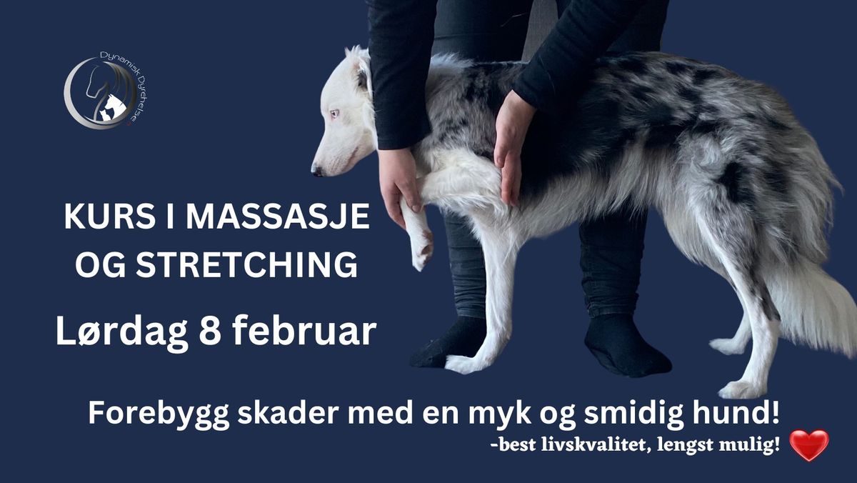 Kurs i massasje og stretching