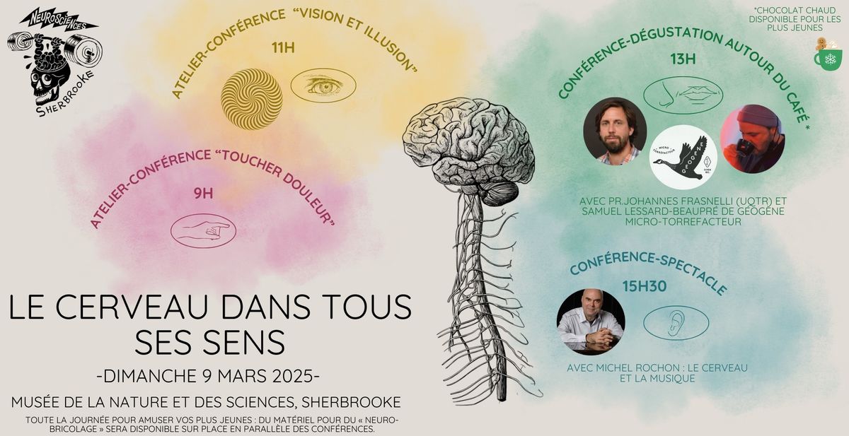 Le cerveau dans tous ses sens (Semaine du cerveau)