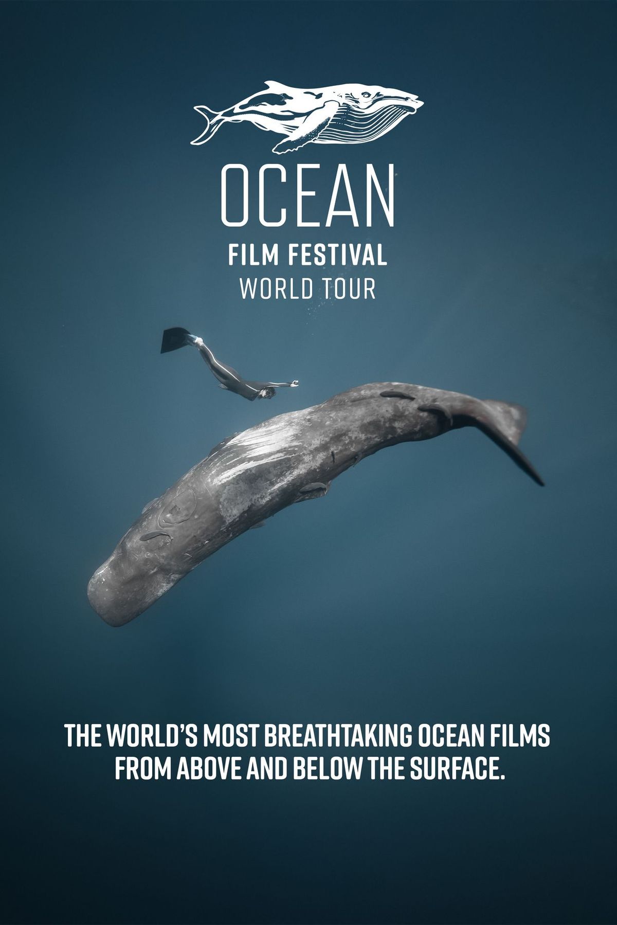 Ocean Film Festival World Tour 2025