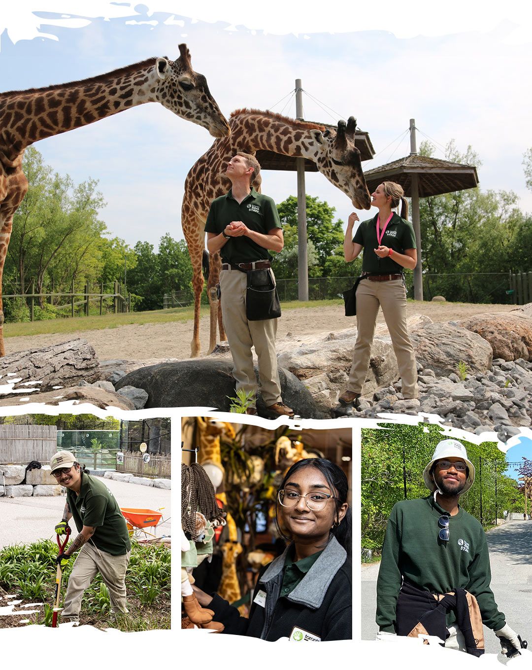 Toronto Zoo Job Fair