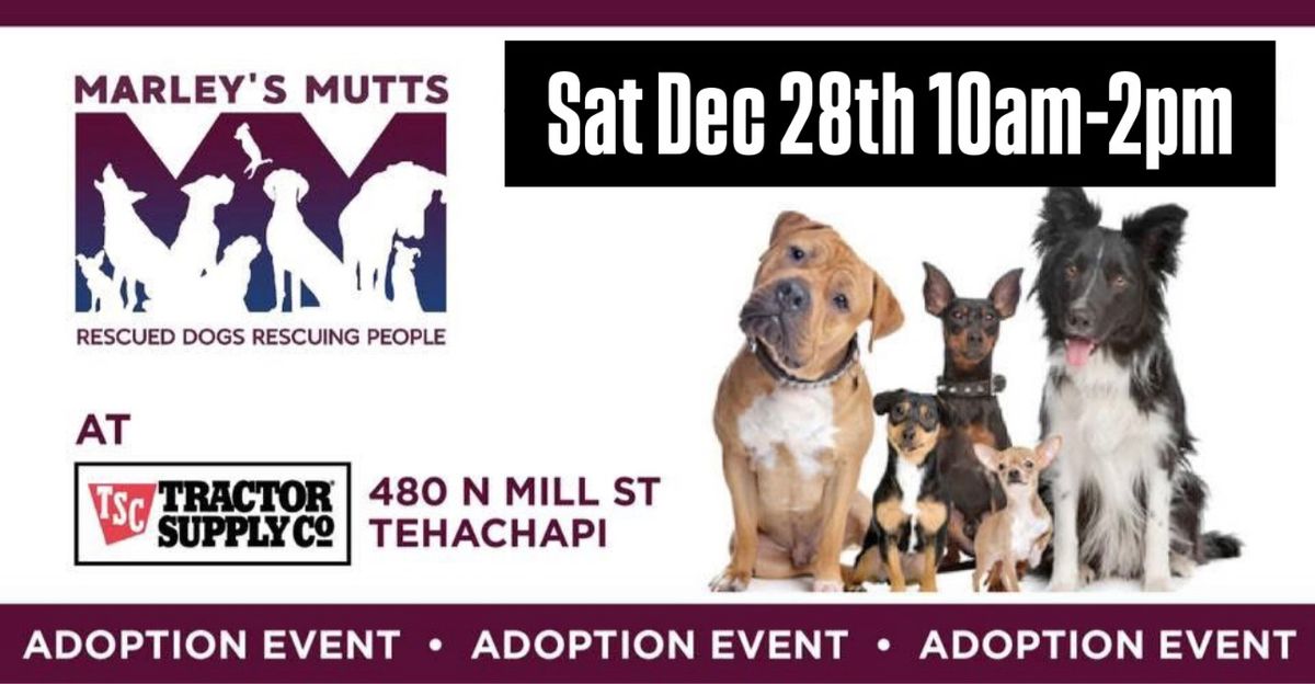 Tractor Supply Tehachapi Adoption Event