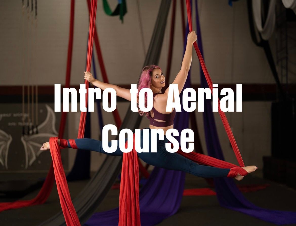 Intro to Aerial Foundations Course 