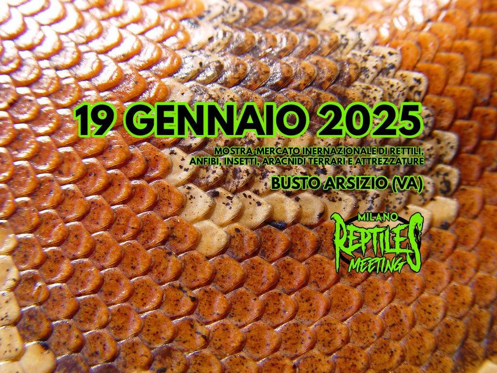 MILANO REPTILES MEETING 2025 - January 19th 2025