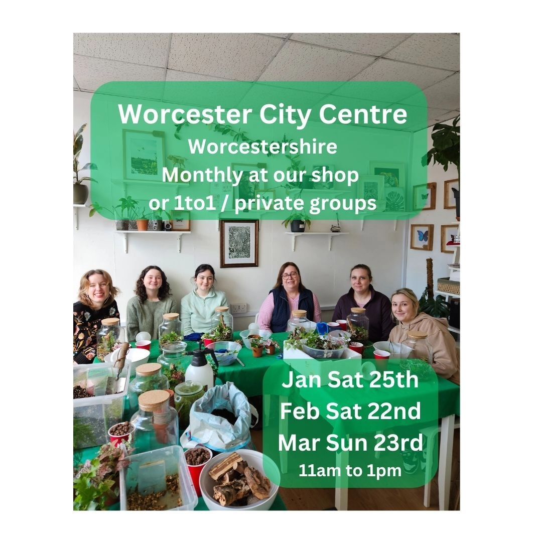 Tropical Terrarium Workshop - Worcester