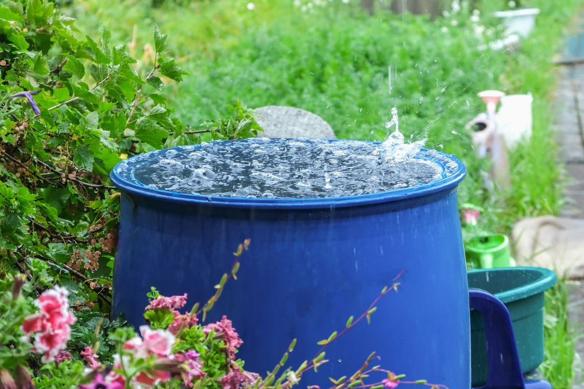 Rain Barrel\/Water Conservation Workshop