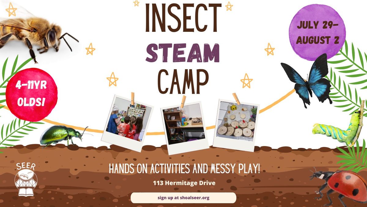 Insect STEAM Camp