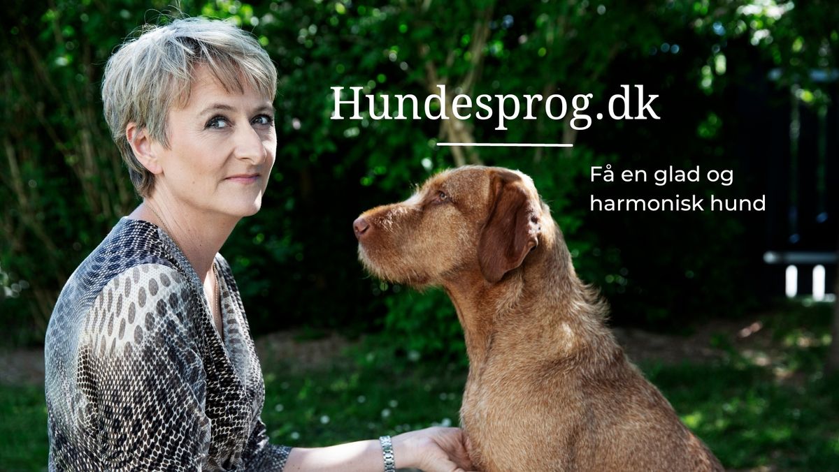 Foredrag : Hund i harmoni