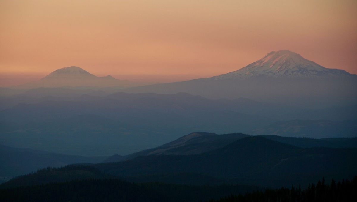 Edible & Medicinal Plants of the Pacific Northwest: Herb Walk