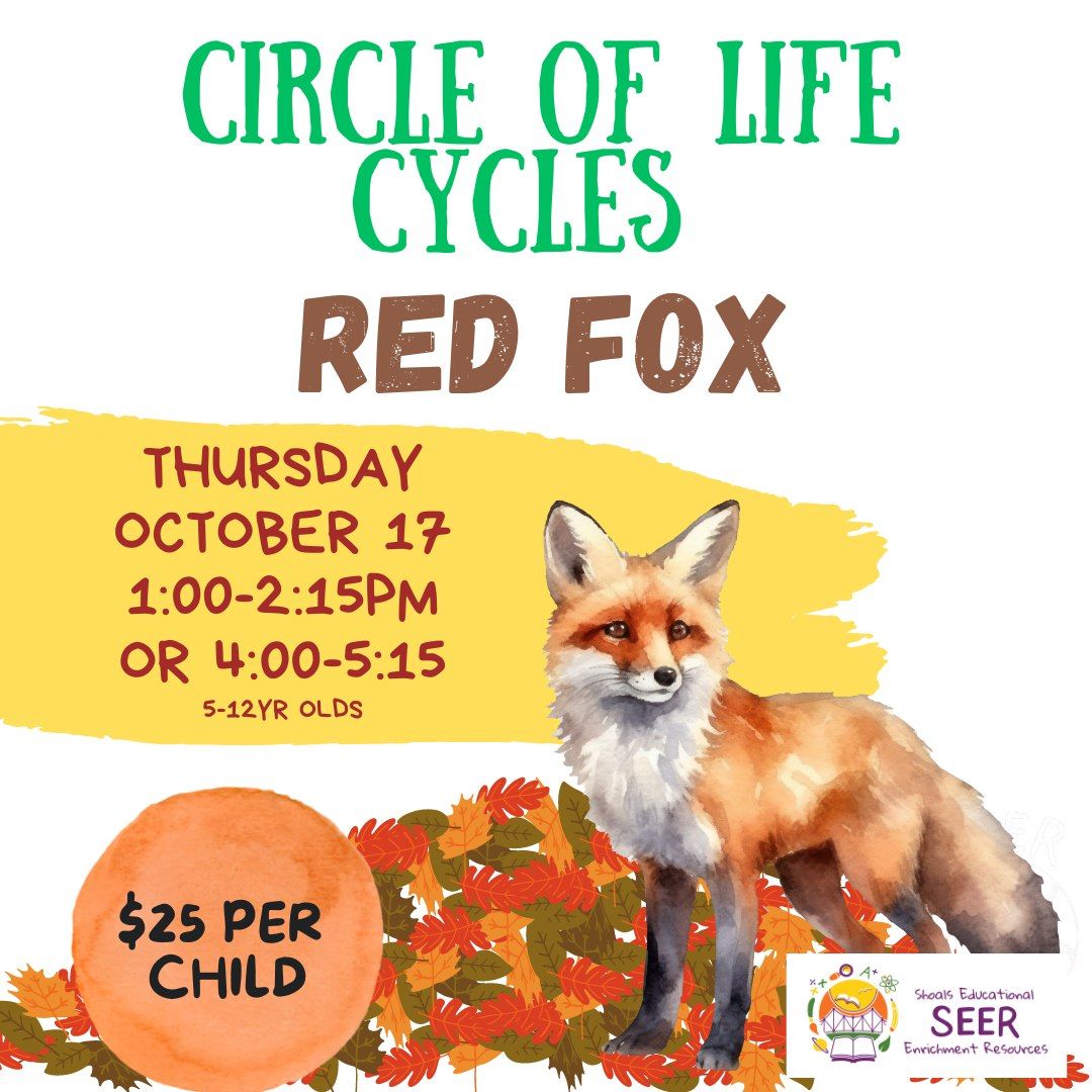 Circle of Life Cycles: Red Fox Afterschool class