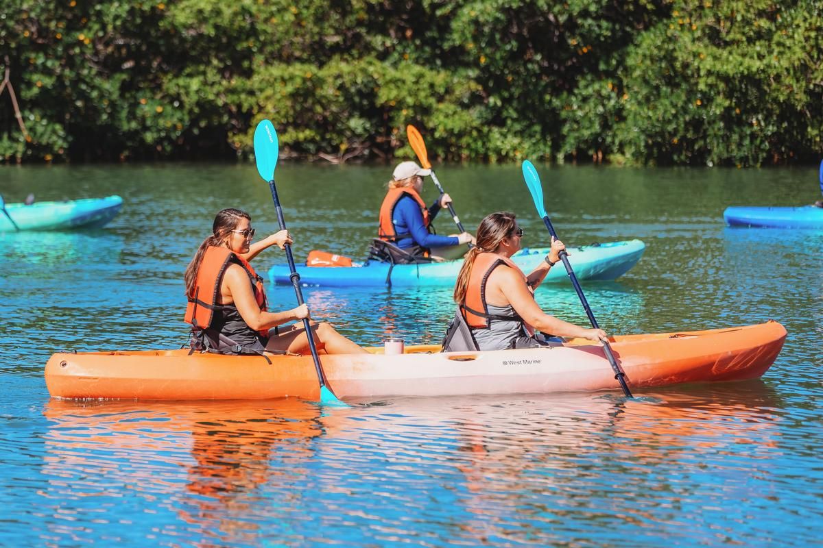 Kayak Adventure