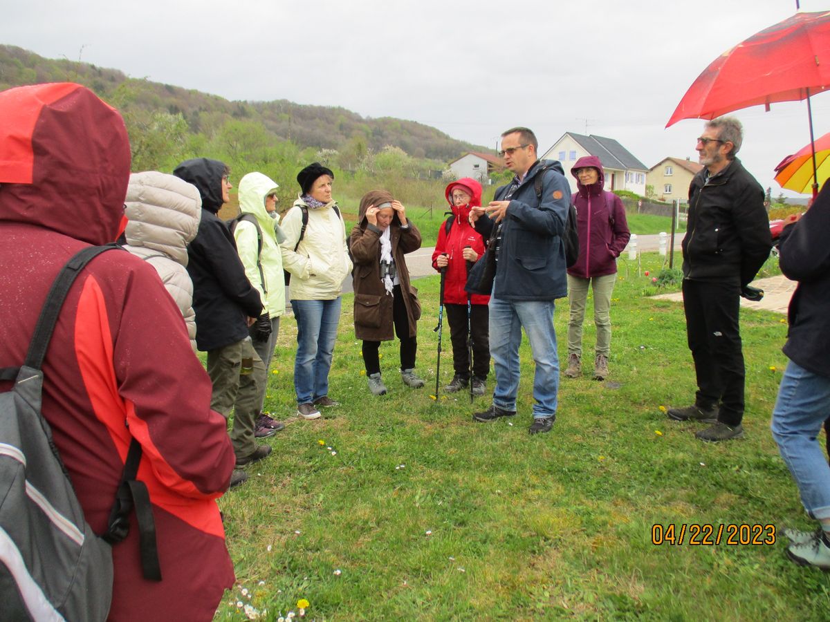 Conf\u00e9rence arpent\u00e9e "lecture arbor\u00e9e du paysage"