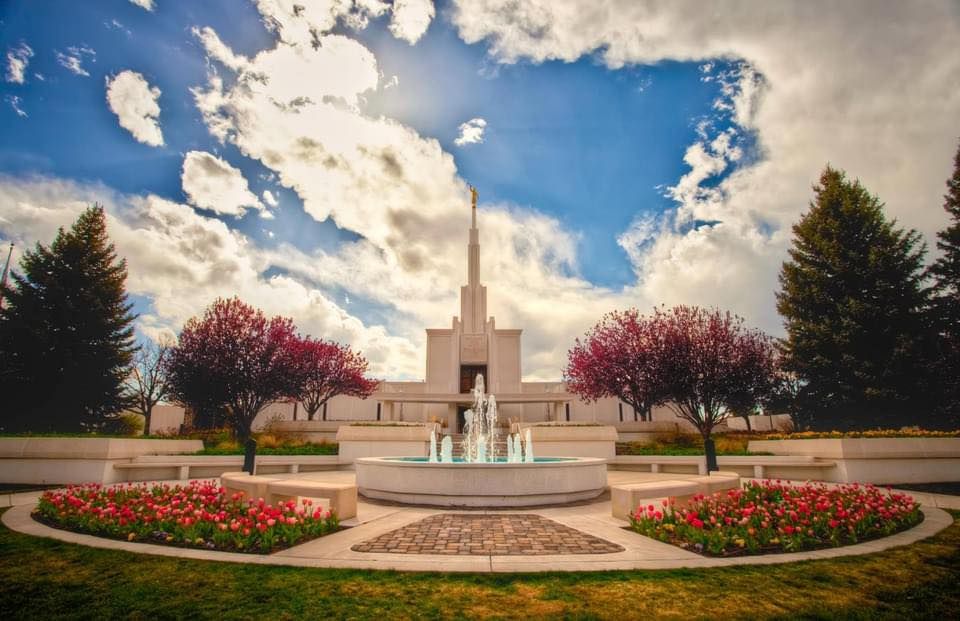 Arvada Stake Service Project, Food Drive, and Grill n' Chill BBQ