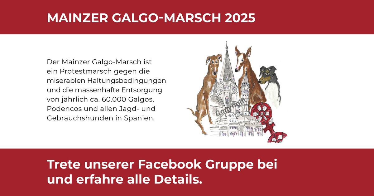 2. Mainzer Galgo-Marsch 2025