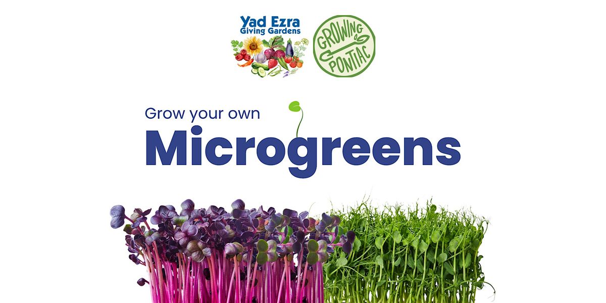 Grow Your Own Microgreens Workshop