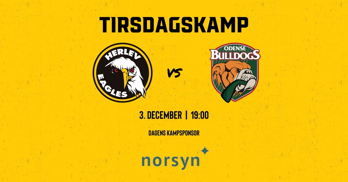 Herlev Eagles vs Odense Bulldogs