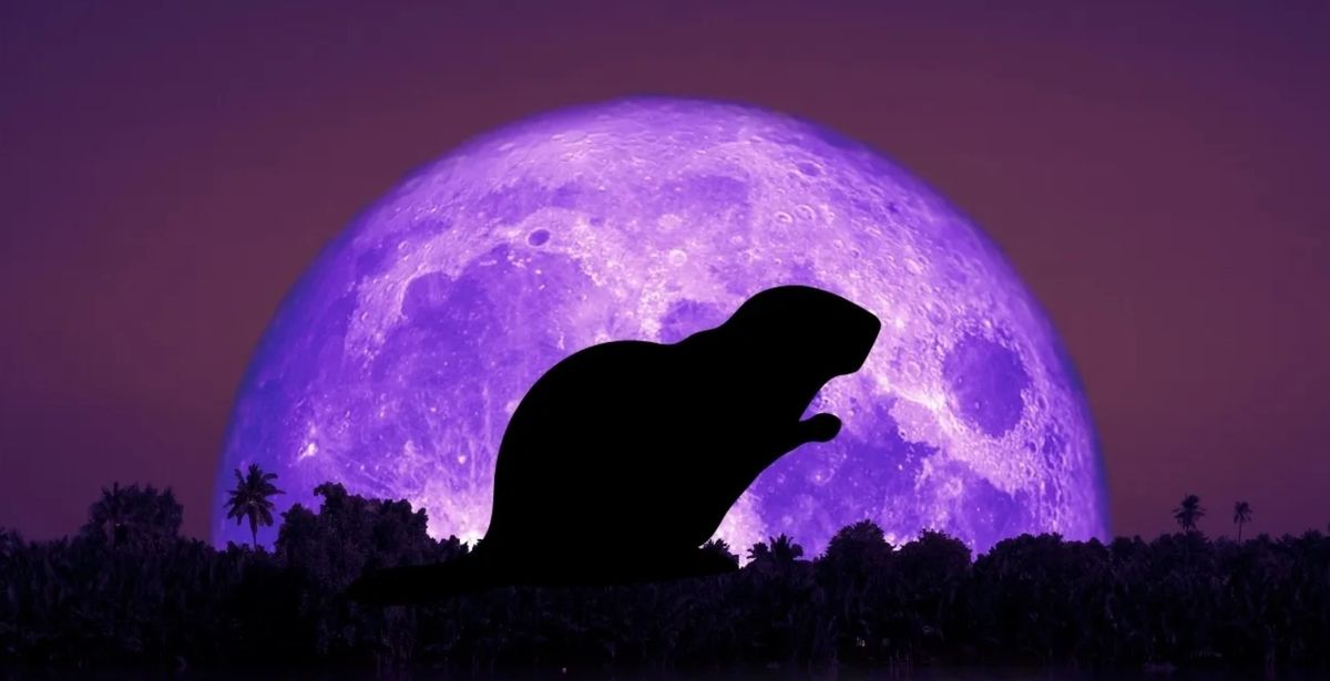 Beaver Full Moon Sound Bath Sessions By Donation