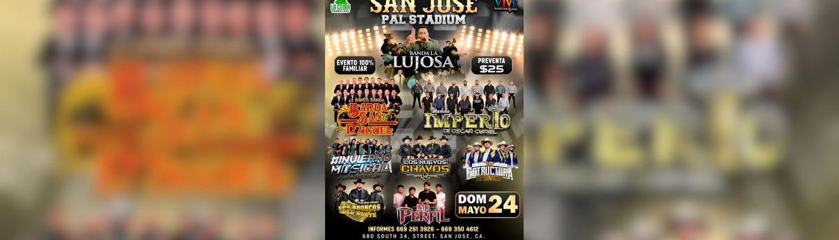 BANDA LA LUJOSA, BANSA SAN MIGUEL & MAS