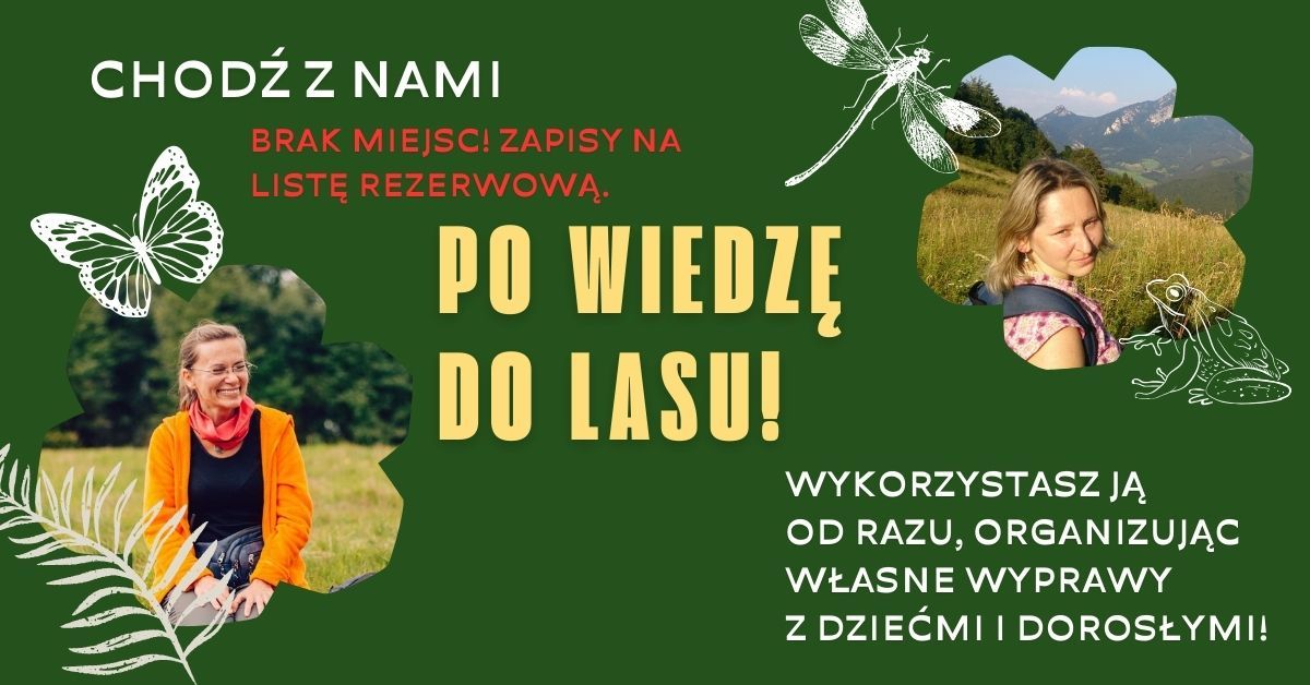 PO WIEDZ\u0118 DO LASU - warsztat przyrodniczy dla edukatorek\/\u00f3w, nauczycielek\/i i rodzic\u00f3w