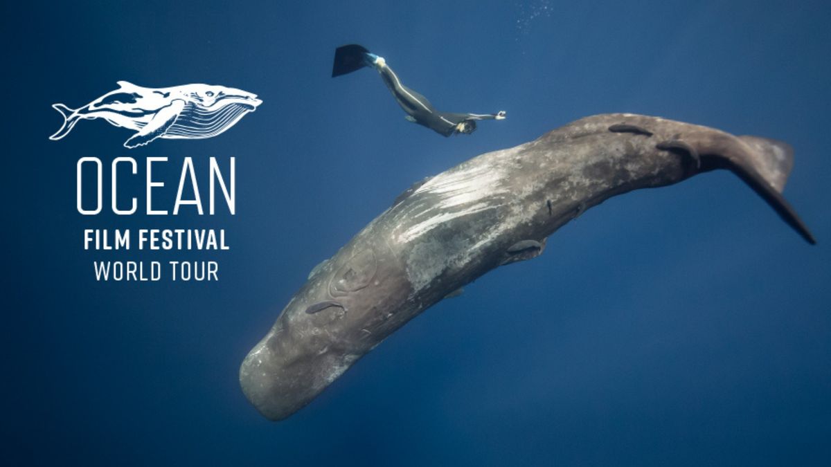 Ocean Film Festival World Tour