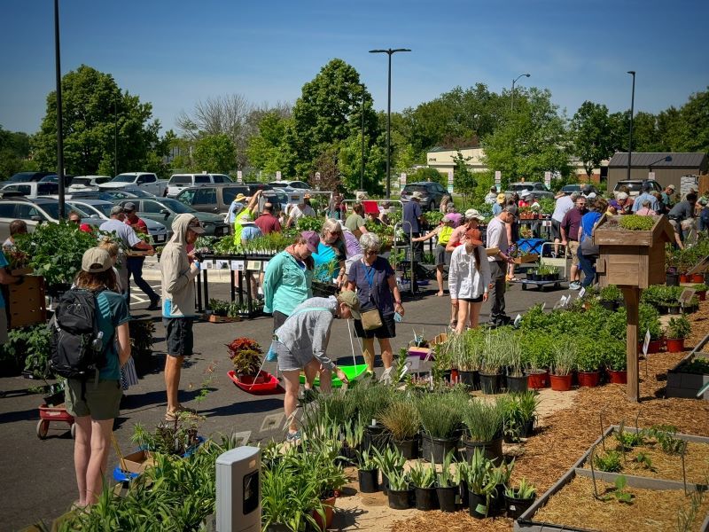 Annual Master Gardener Plant Sale