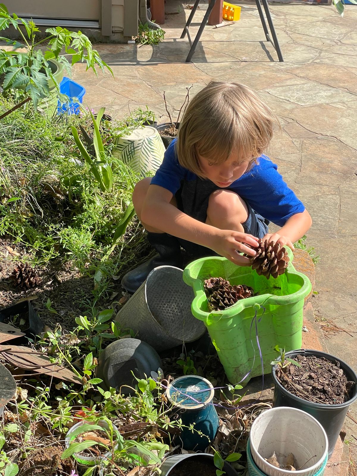 Fall STEM Camp