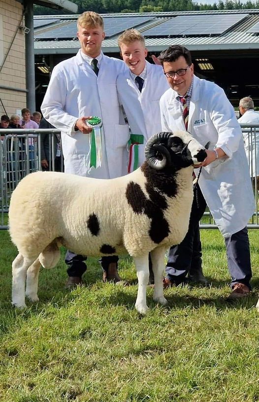 Official Scottish Jacob Sheep Society Sale