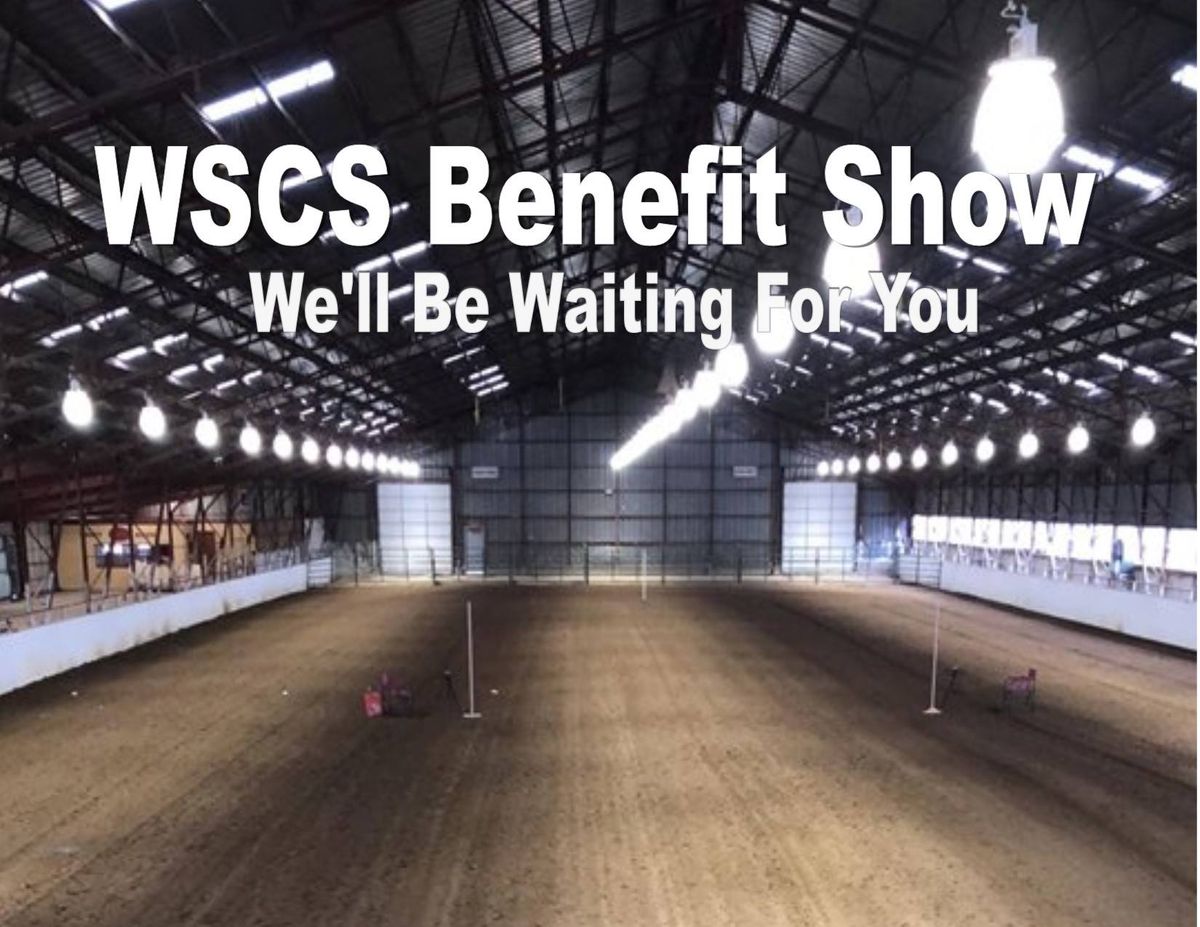 WSCS Benefit Games Show (Sunday)