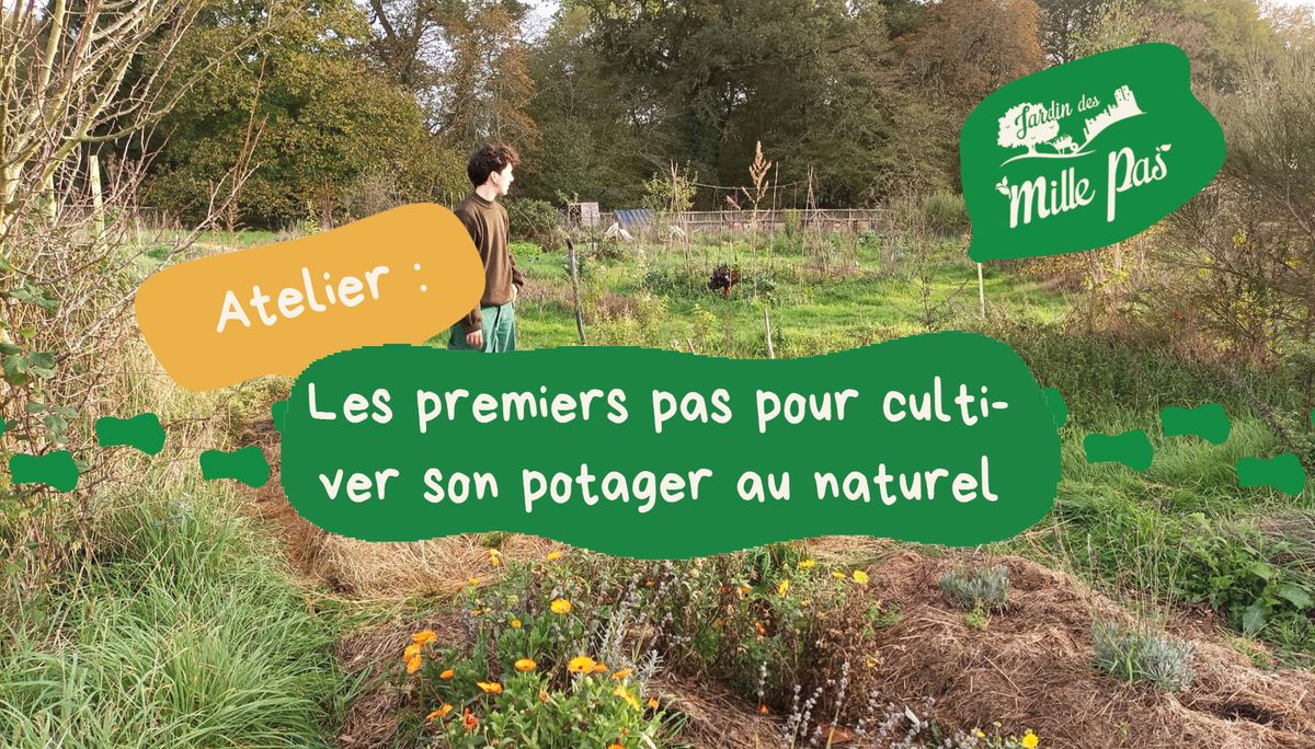 Atelier : cultiver son potager au naturel