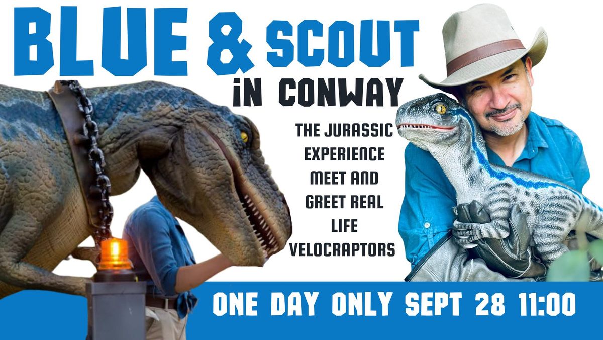 The MOMMY & BABY Jurassic Experience - REAL-LIFE VELOCIRAPTOR & BABY in Conway