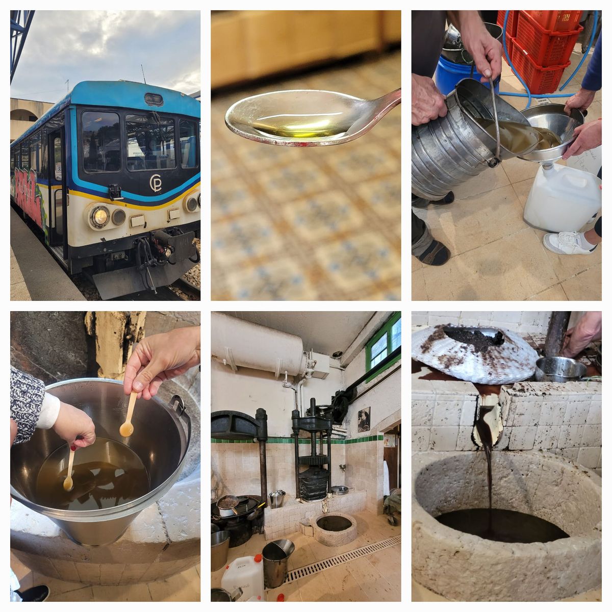 Visit of a traditional olive oil mill still in operation, train ride, press, tasting