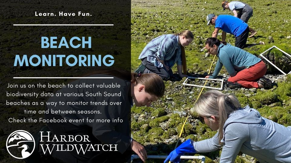 Beach Monitoring - Austin Park