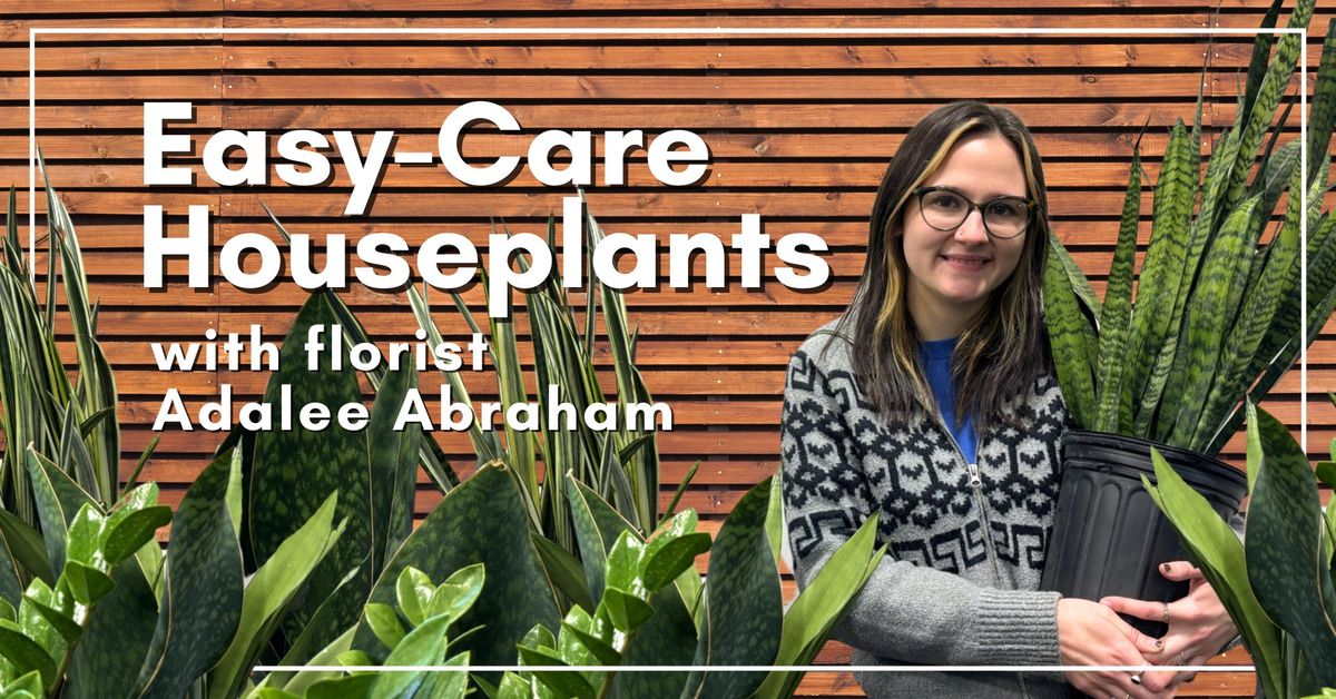 Introduction to Easy-Care Houseplants