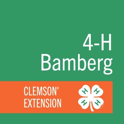 Bamberg County 4-H
