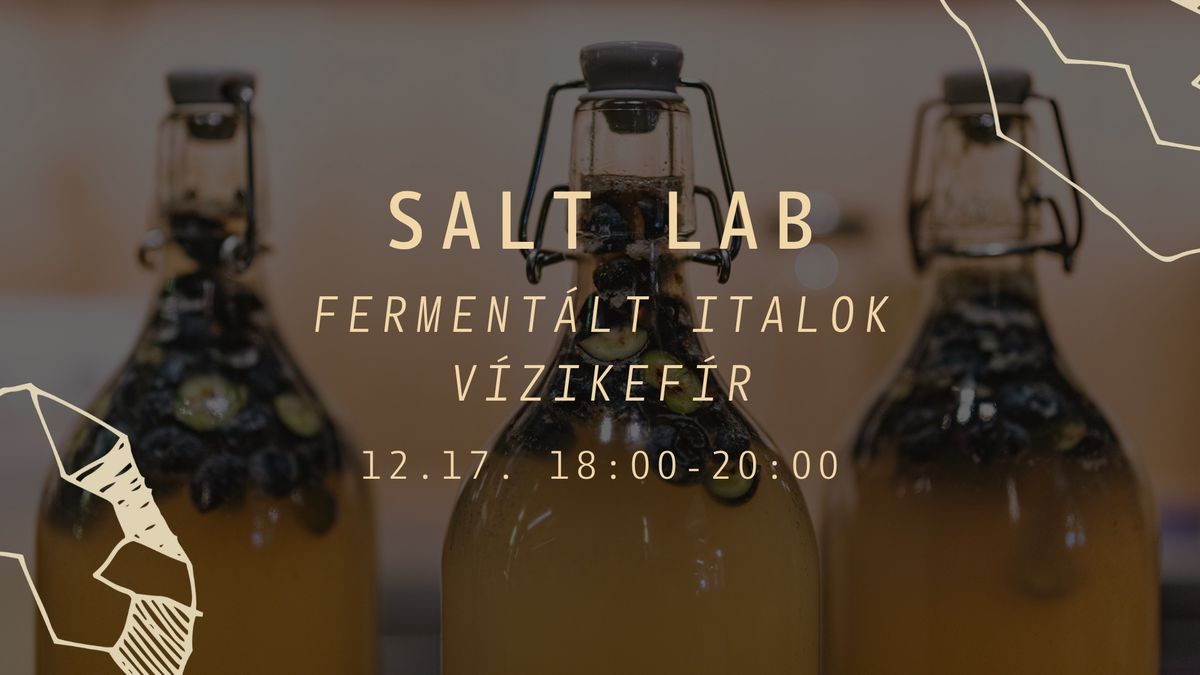 SALT LAB - Ferment\u00e1lt italok - V\u00edzikef\u00edr