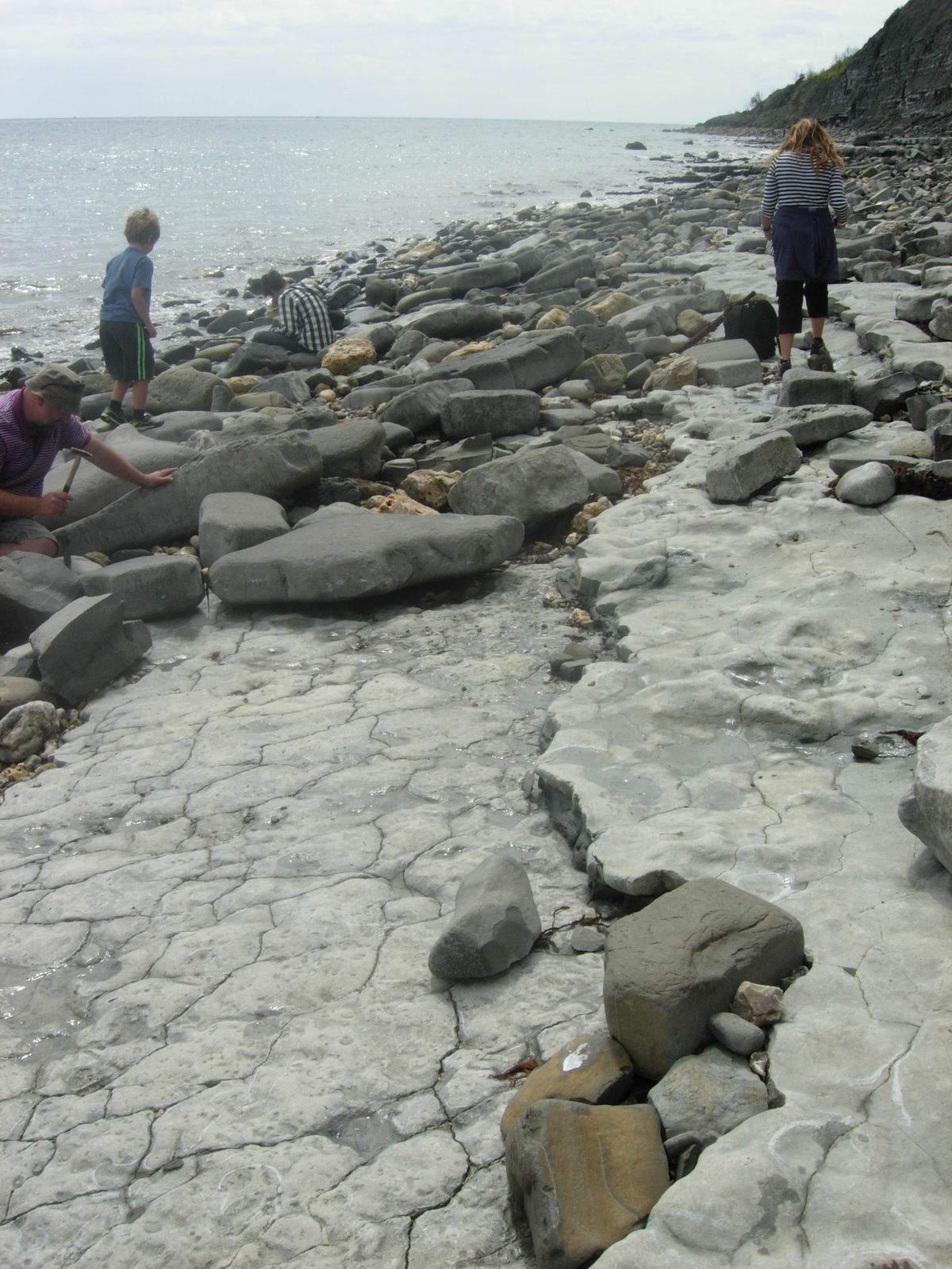 Fossil Walk! Dublin Coast, Science Week - sold out