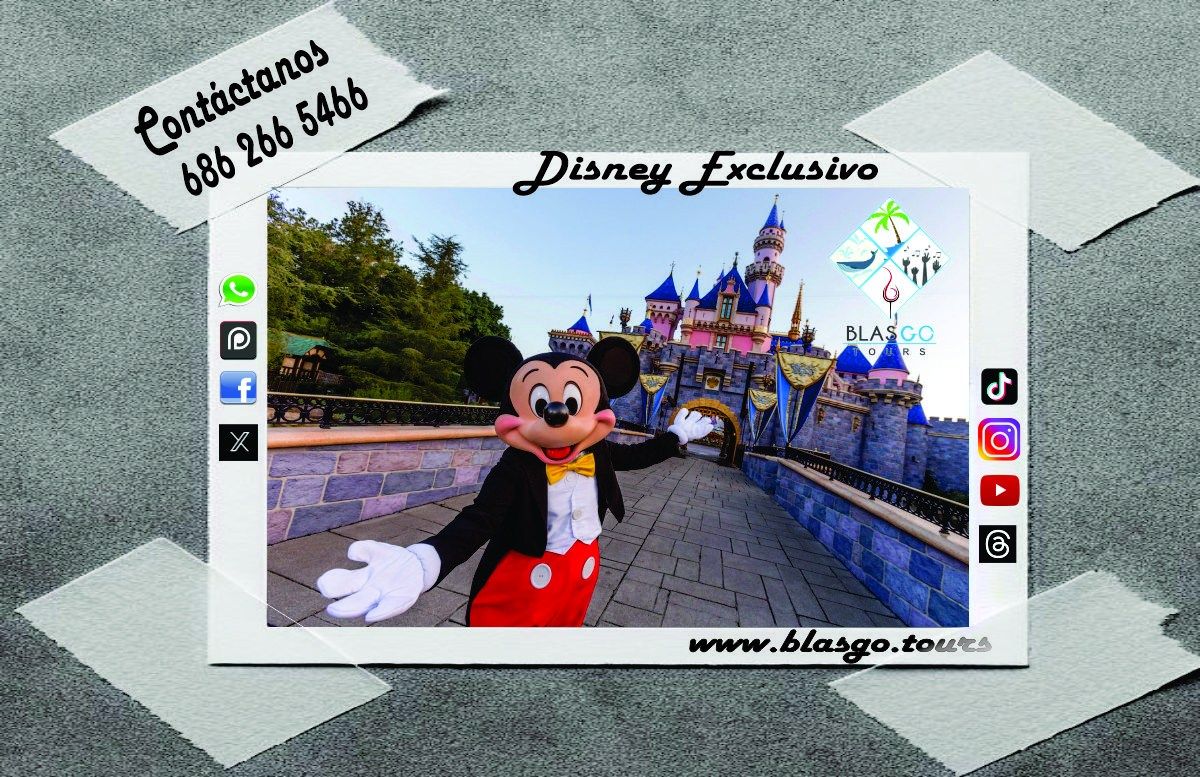 Experiencia Exclusiva Disneyland