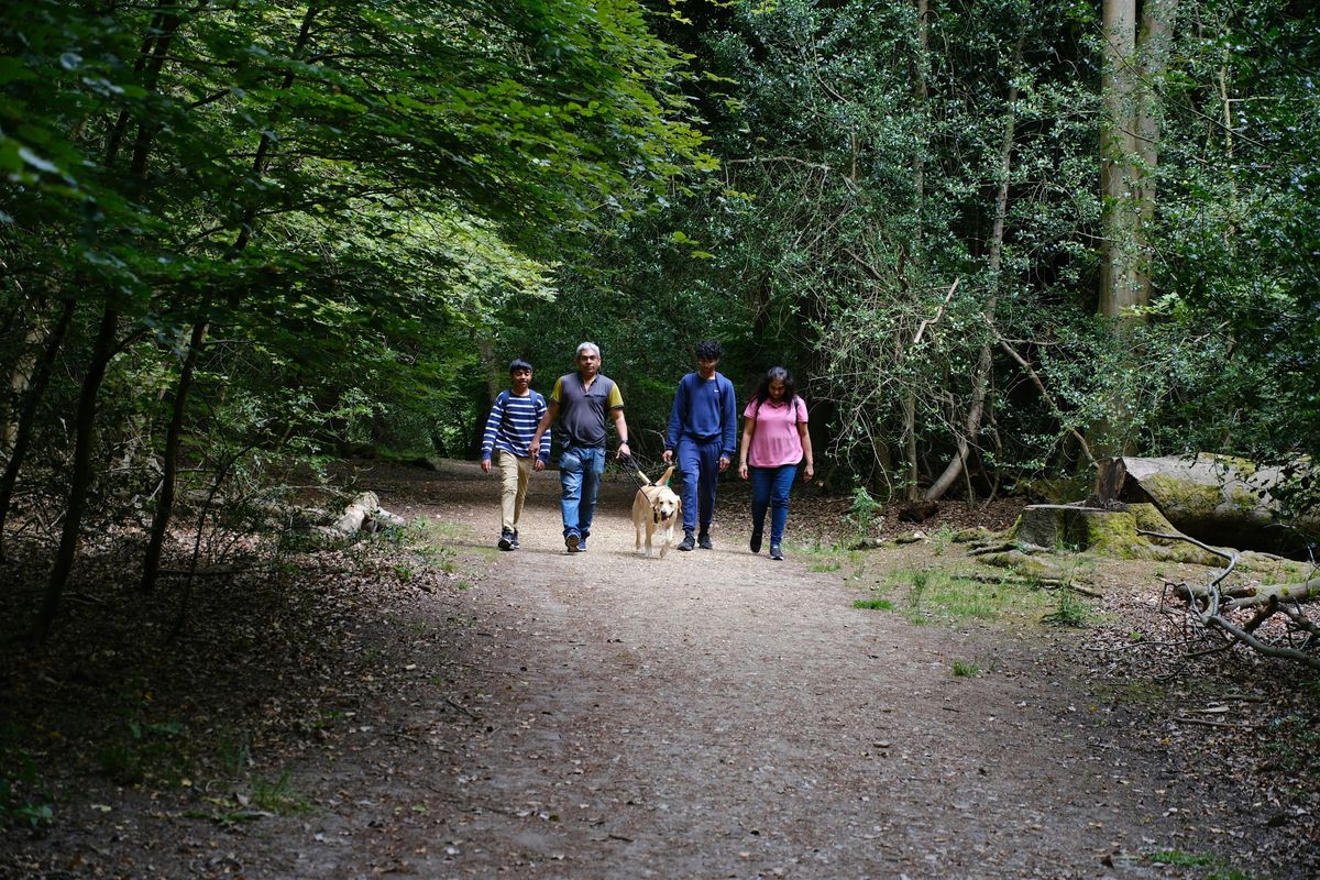 Waggy Walks - Burnham Beeches