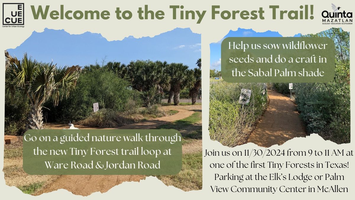 Welcome to the Tiny Forest Trail!