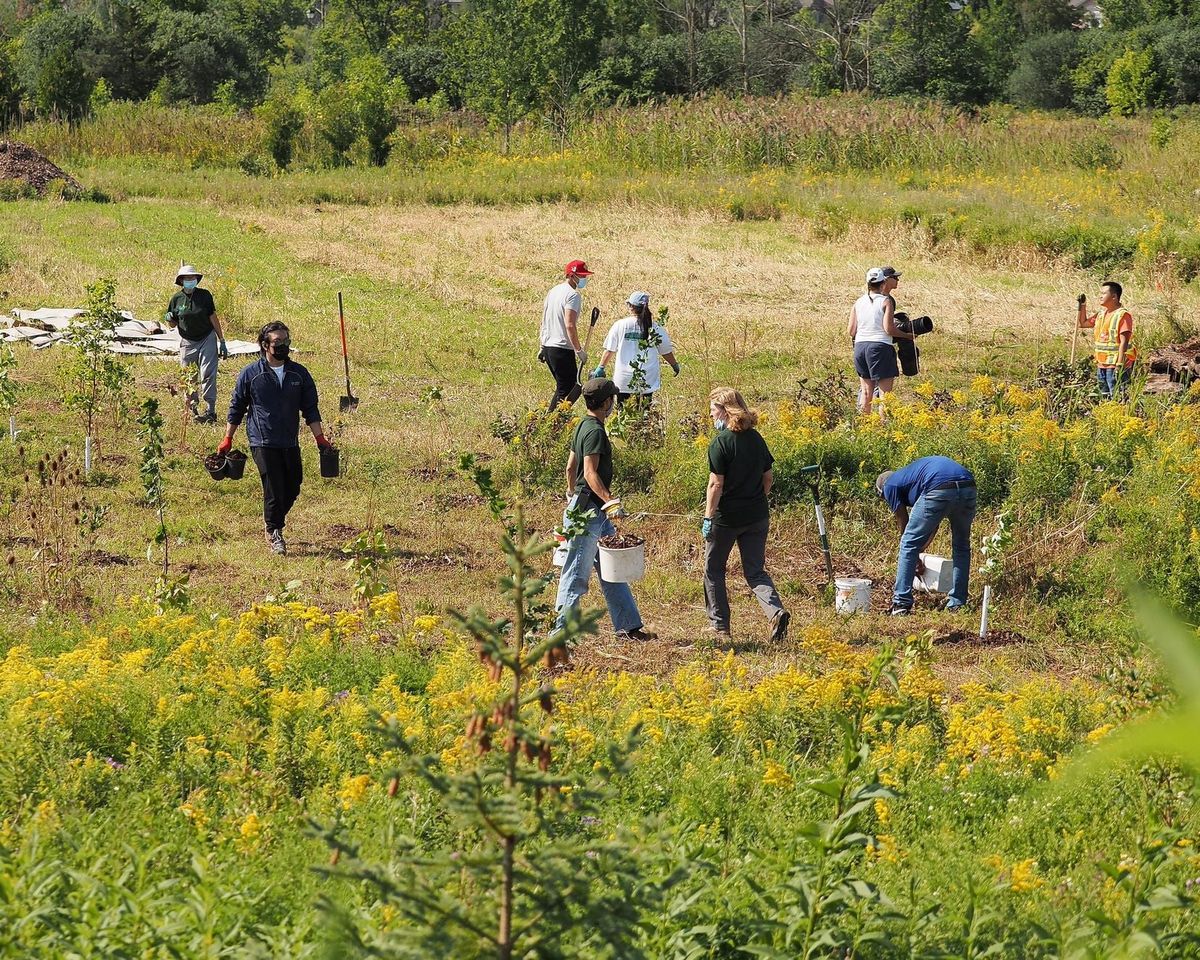 10,000 Trees: Rouge National Urban Park Tree Planting Event